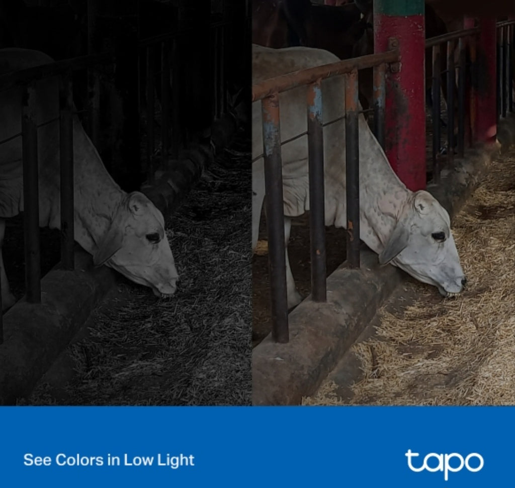 Tapo C320WS 2K QHD Outdoor Wi-Fi Security Camera with Starlight Color Night Vision & AI Detection